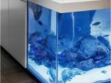 Aquarium Kücheninsel Prekrasan Dizajn Kuhinje S Akvarijem Koji Donosi Ocean