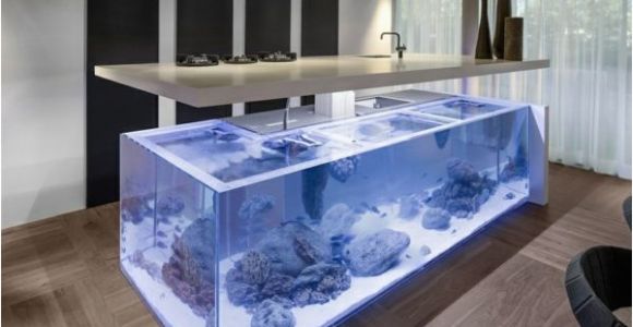 Aquarium Kücheninsel Prekrasan Dizajn Kuhinje S Akvarijem Koji Donosi Ocean