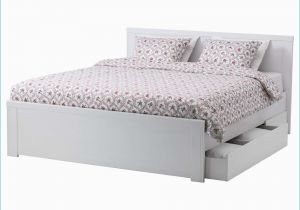 Aufbewahrung Unter Bett Mit Rollen Bett Ikea Kaufen