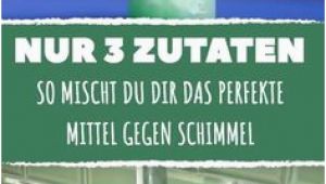 Bad Und Küchenfarbe Gegen Schimmel Die 29 Besten Bilder Von Schimmel Entfernen In 2020