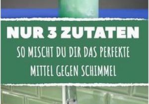 Bad Und Küchenfarbe Gegen Schimmel Die 29 Besten Bilder Von Schimmel Entfernen In 2020