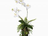 Badezimmer Deko orchidee orchideen Farn Arrangement