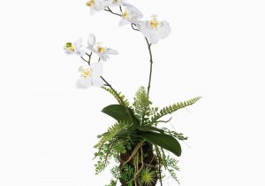Badezimmer Deko orchidee orchideen Farn Arrangement