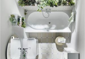 Badezimmer Deko Pflanzen Die Besten Pflanzen Fürs Badezimmer