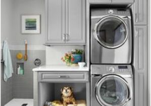 Badezimmerschrank Für Waschmaschine Und Trockner Die 25 Besten Bilder Von Hundedusche