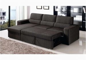 Best sofa Design Ledercouch 2 Sitzer Elegant Ledersofa Modern Frisch Graue