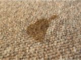 Flecken Stoff sofa Entfernen Fettflecken Polster Hausmittel & Tipps