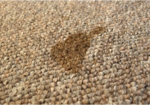 Flecken Von Stoff sofa Entfernen Fettflecken Polster Hausmittel & Tipps