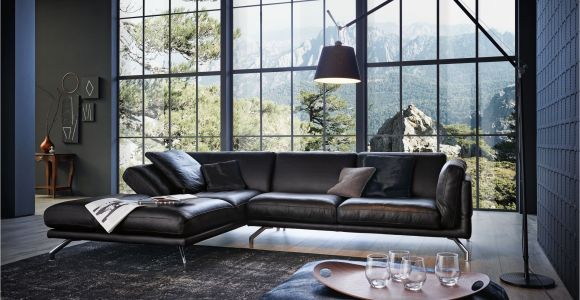 Hall sofa Design Wk 650 Nalo