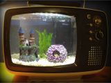 Kuche Fish Tank A Fish Tank In A Retro Tv Upcycle Fish Tank Ideas I Made