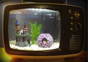 Kuche Fish Tank A Fish Tank In A Retro Tv Upcycle Fish Tank Ideas I Made