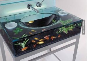 Kuche Fish Tank Awesome Fish Tank