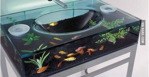 Kuche Fish Tank Awesome Fish Tank