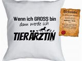 Küche Wasserfest Streichen Tierarzt Kissen Sprüche Kuschelkissen Tierärztin Werde Ich