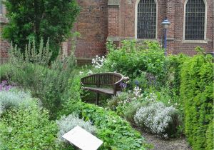 Küche Wasserhahn Kludi Garten Ideen Selber Bauen