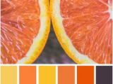 Küchen Farbe orange Die 1178 Besten Bilder Von Farbschemata