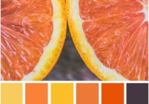Küchen Farbe orange Die 1178 Besten Bilder Von Farbschemata