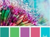 Küchenfarbe Trend 2017 Die 1178 Besten Bilder Von Farbschemata