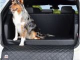 Latex Küchenfarbe Die 17 Besten Bilder Von Auto Und Hund