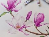 Magnolie Küchenfarbe Die 10 Besten Bilder Von Tulpenbaum