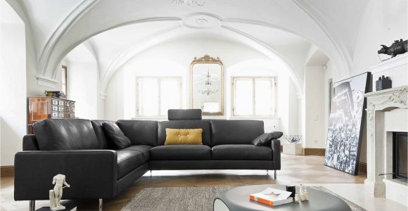 Moderne sofas Leder Modernes sofa Ecksofa Leder