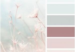 Neutrale Küchenfarbe Die 1178 Besten Bilder Von Farbschemata
