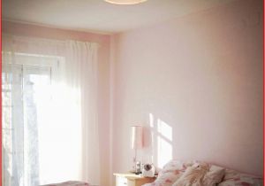 Sconto Küchenschrank O P Couch Günstig 3086 Aviacia