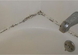 Verkalkte Badezimmer Fliesen Reinigen so Entfernt Ihr Schimmel Vom Badewannenrand