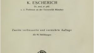 Was Tun Gegen Ameisen Im Küchenschrank Die Ameise Schilderung Ihrer Lebensweise