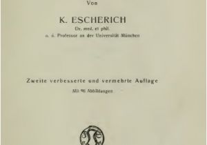 Was Tun Gegen Ameisen Im Küchenschrank Die Ameise Schilderung Ihrer Lebensweise